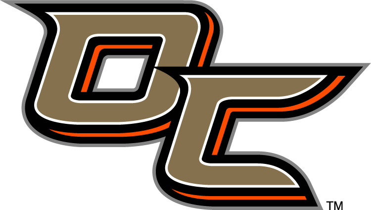 Anaheim Ducks 2014 Special Event Logo fabric transfer